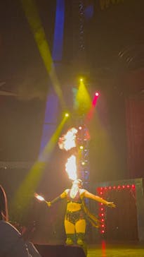 ワールドドリームサーカス春日部公演に投稿された画像（2025/2/25）