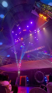 ワールドドリームサーカス春日部公演に投稿された画像（2025/2/25）