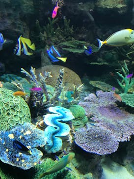 サンシャイン水族館に投稿された画像（2025/2/25）