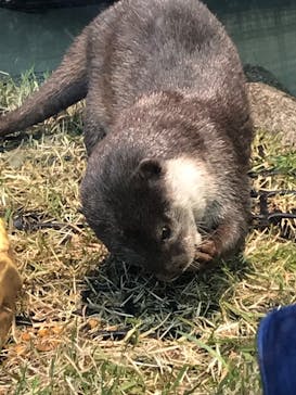 サンシャイン水族館に投稿された画像（2025/2/25）
