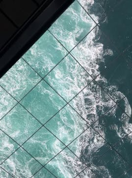 徳島県立 渦の道に投稿された画像（2025/2/25）