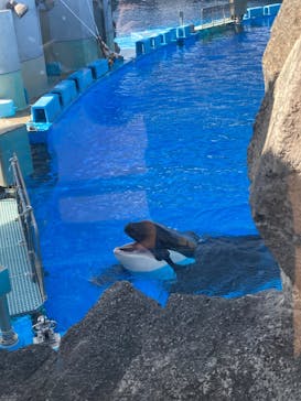 名古屋港水族館に投稿された画像（2025/2/25）