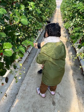 マザー牧場に投稿された画像（2025/2/25）