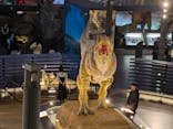福井県立恐竜博物館に投稿された画像（2025/2/25）