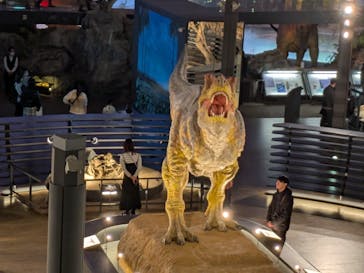 福井県立恐竜博物館に投稿された画像（2025/2/25）