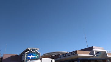 アクアワールド茨城県大洗水族館に投稿された画像（2025/2/25）