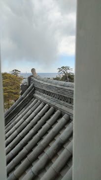 小田原城に投稿された画像（2025/2/25）