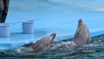 南知多ビーチランド＆南知多おもちゃ王国に投稿された画像（2025/2/25）