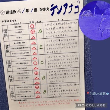 竹島水族館に投稿された画像（2025/2/25）