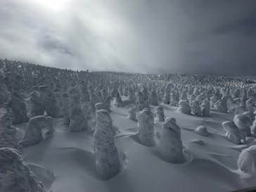 蔵王ロープウェイに投稿された画像（2025/2/25）