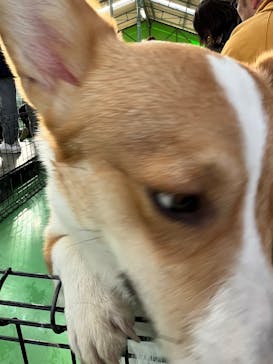 つくばわんわんランドに投稿された画像（2025/2/25）