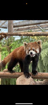 神戸どうぶつ王国に投稿された画像（2025/2/25）