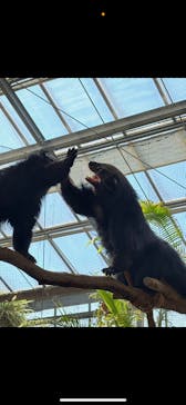 神戸どうぶつ王国に投稿された画像（2025/2/25）