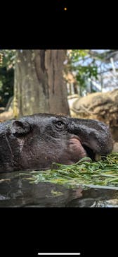 神戸どうぶつ王国に投稿された画像（2025/2/25）