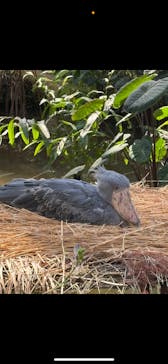 神戸どうぶつ王国に投稿された画像（2025/2/25）