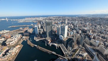 横浜ランドマークタワー 69階展望フロア スカイガーデンに投稿された画像（2025/2/25）