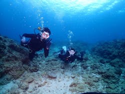 ダイブロックに投稿された画像（2025/2/25）