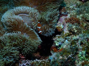 ダイブロックに投稿された画像（2025/2/25）