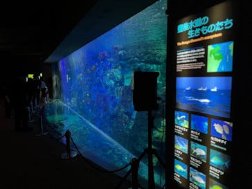 大分マリーンパレス水族館 「うみたまご」に投稿された画像（2025/2/25）