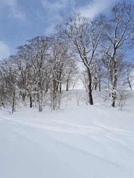 オニコウベスキー場に投稿された画像（2025/2/25）