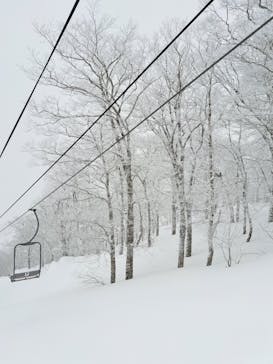 オニコウベスキー場に投稿された画像（2025/2/25）