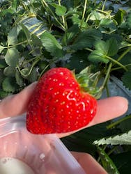 MIGAKI FARMに投稿された画像（2025/2/25）