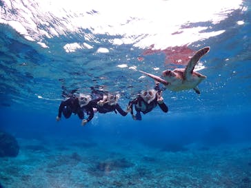 ちゃこたびに投稿された画像（2025/2/25）