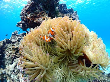 ちゃこたびに投稿された画像（2025/2/25）