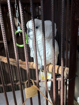 伊豆シャボテン動物公園に投稿された画像（2025/2/25）