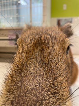 アニタッチ 東京ドームシティに投稿された画像（2025/2/25）