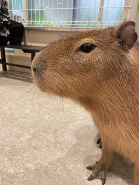 アニタッチ 東京ドームシティに投稿された画像（2025/2/25）