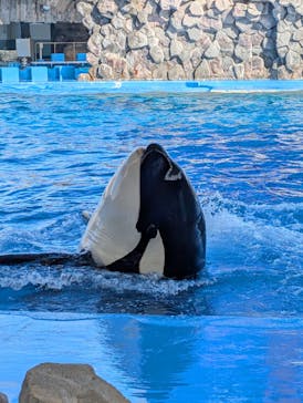 名古屋港水族館に投稿された画像（2025/2/25）