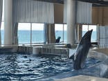 アクアワールド茨城県大洗水族館に投稿された画像（2025/2/25）