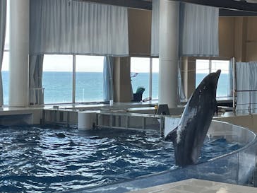 アクアワールド茨城県大洗水族館に投稿された画像（2025/2/25）