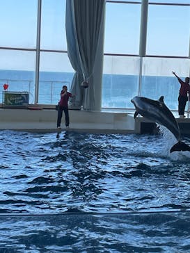 アクアワールド茨城県大洗水族館に投稿された画像（2025/2/25）