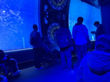 アクアワールド茨城県大洗水族館に投稿された画像（2025/2/25）