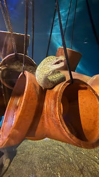 竹島水族館に投稿された画像（2025/2/25）