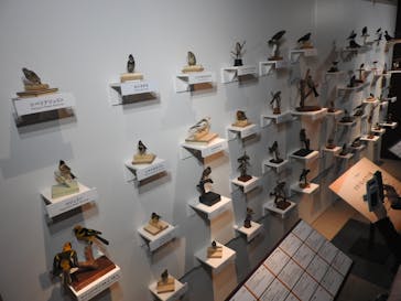 特別展「鳥 ～ゲノム解析が解き明かす新しい鳥類の系統～」国立科学博物館に投稿された画像（2025/2/25）