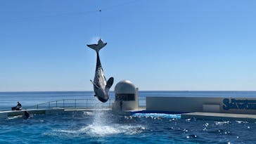 鴨川シーワールドに投稿された画像（2025/2/25）