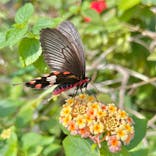 多摩動物公園に投稿された画像（2025/2/26）