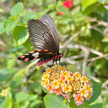 多摩動物公園に投稿された画像（2025/2/25）