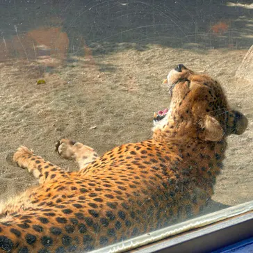 多摩動物公園に投稿された画像（2025/2/25）