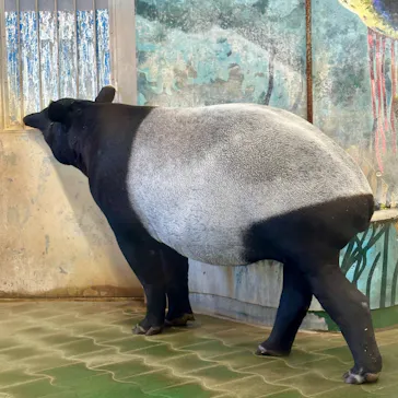 多摩動物公園に投稿された画像（2025/2/25）