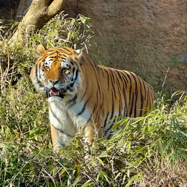 多摩動物公園に投稿された画像（2025/2/25）