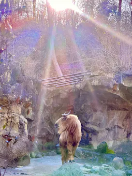 多摩動物公園に投稿された画像（2025/2/25）