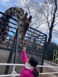 宇都宮動物園に投稿された画像（2025/2/26）