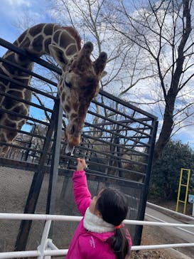 宇都宮動物園に投稿された画像（2025/2/25）
