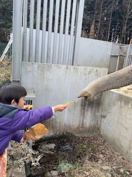 宇都宮動物園に投稿された画像（2025/2/25）