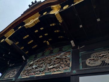 元離宮二条城に投稿された画像（2025/2/25）