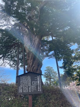 小田原城に投稿された画像（2025/2/25）